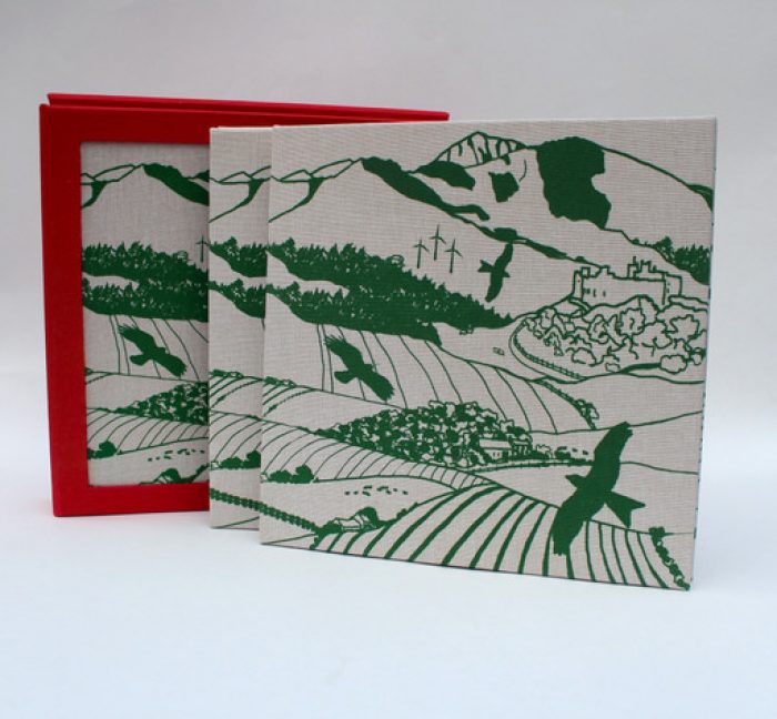 Draw : Wales - Welsh artists' sketchbooks in presentation box