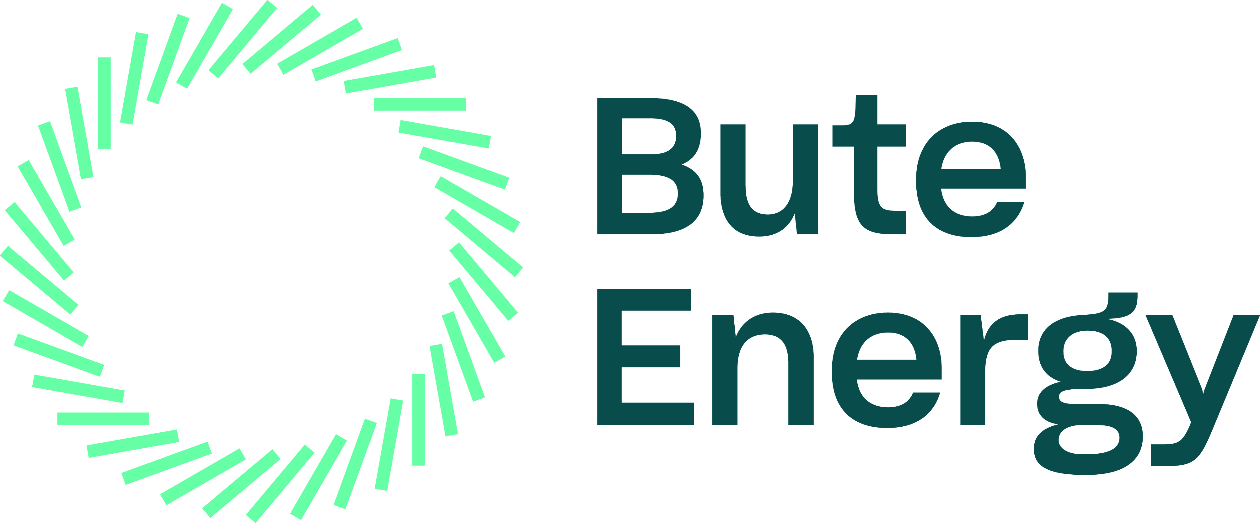 Bute Energy Logo