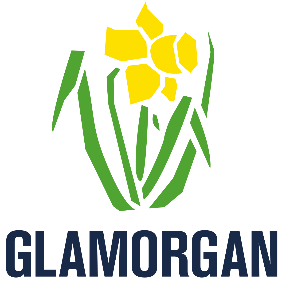 Glamorgan County Cricket Club Logo