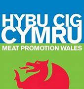 Meat Promotion Wales Logo