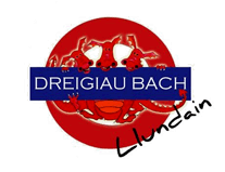 Dreigiau Bach Logo